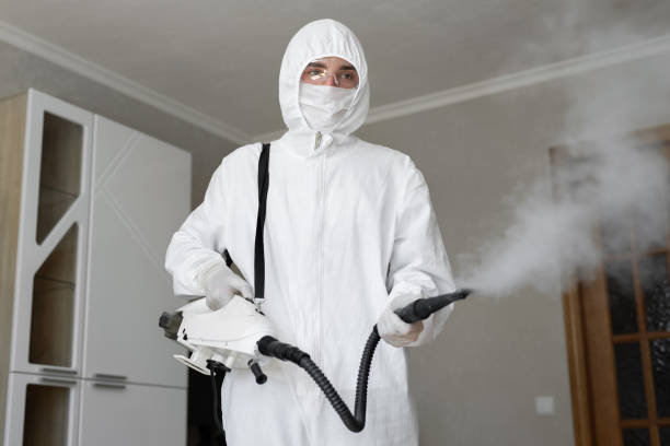 Biohazard Mold Removal in Waverly, OH