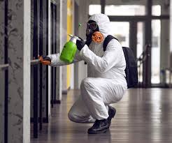 Professional Mold Inspection in Waverly, OH